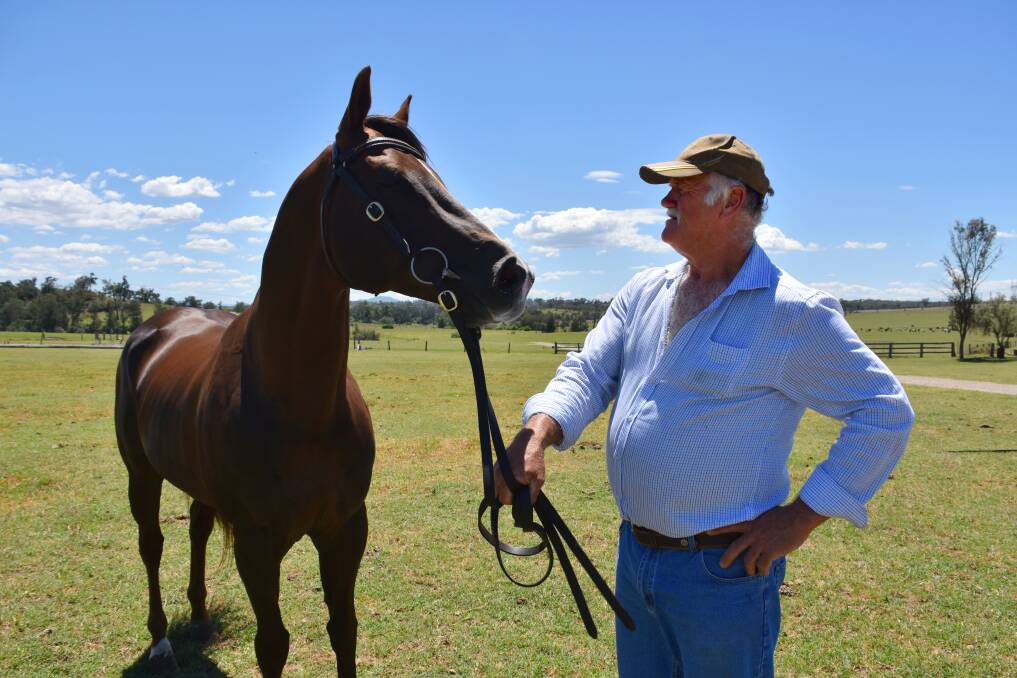 Bruce Moxey with Rainwood Park Gun for Hire, a stallion he is planning to take to the 2018 Royal Easter Show.