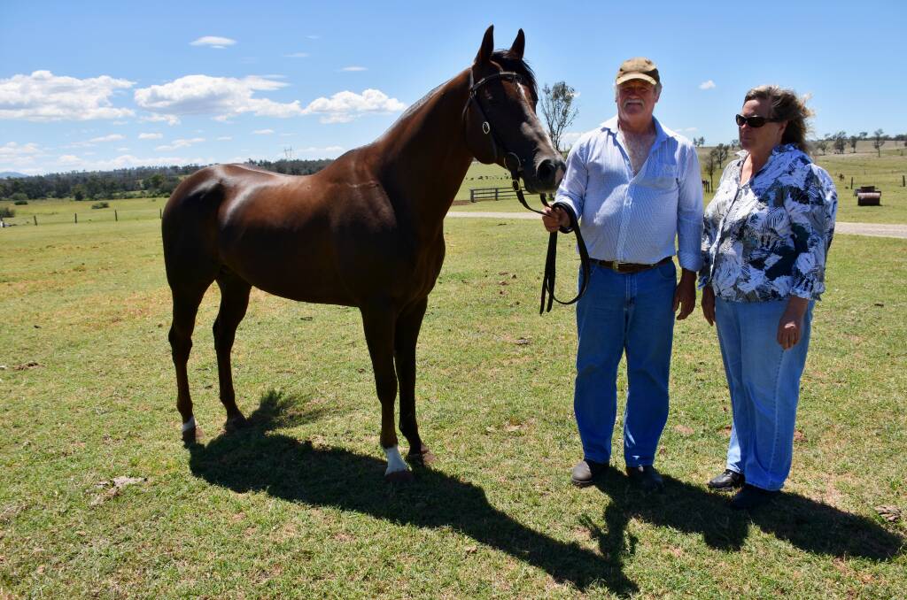 Bruce and Thea Moxey both recipients of the Australian Stock Horse Society's volunteer of the year award with Rainwood Park Gun for Hire on their property near Singleton.