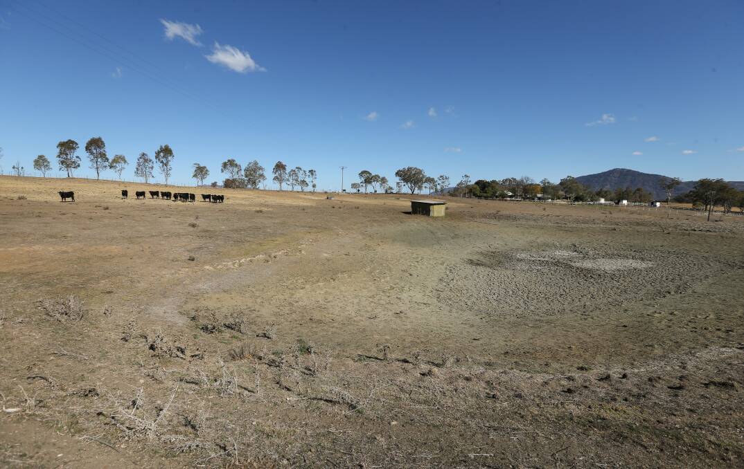 ON EMPTY: Livestock water supplies critical now summer has arrived. Producers are being advised to act early to ensure the best outcomes. Photograph: Marina Neil 