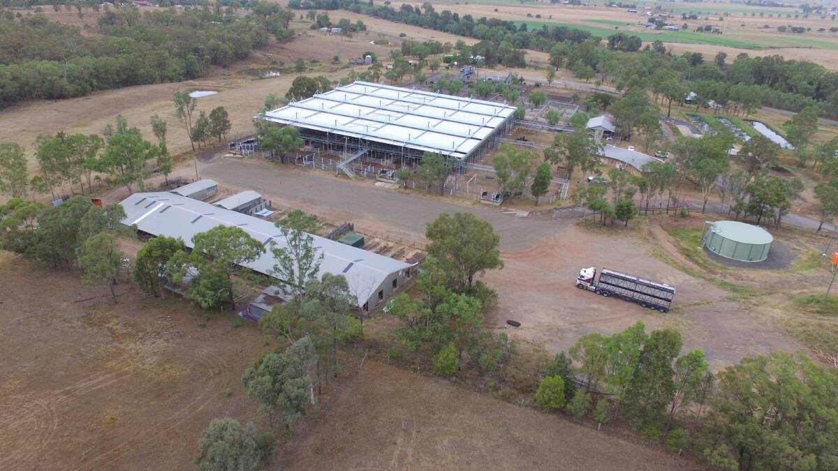 Singleton saleyards now being managed by the Regional Livestock Exchanges (RLX).