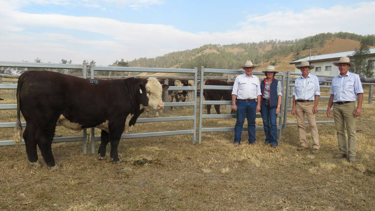 Top selling hereford $30,000 to Guy & Suz Lord, Branga Plains, Walcha with Curracabark proprietors  James Higgins and Sandy Higgin