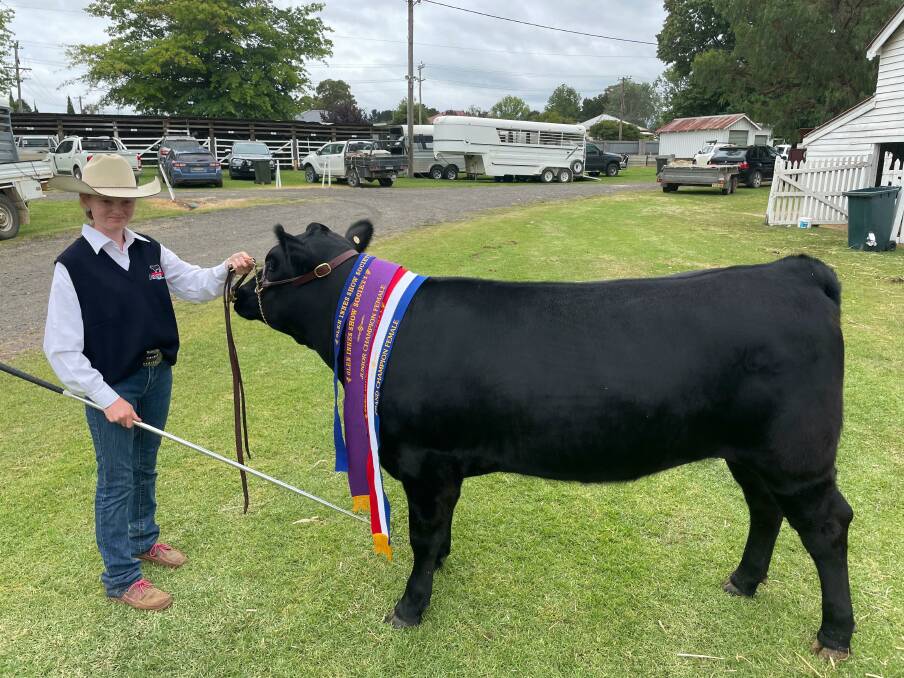 Sarah Randle, Scone with her heifer Pentire Dandaloo Q20 junior champion Angus female at the Glen Innes show.Photo supplied.