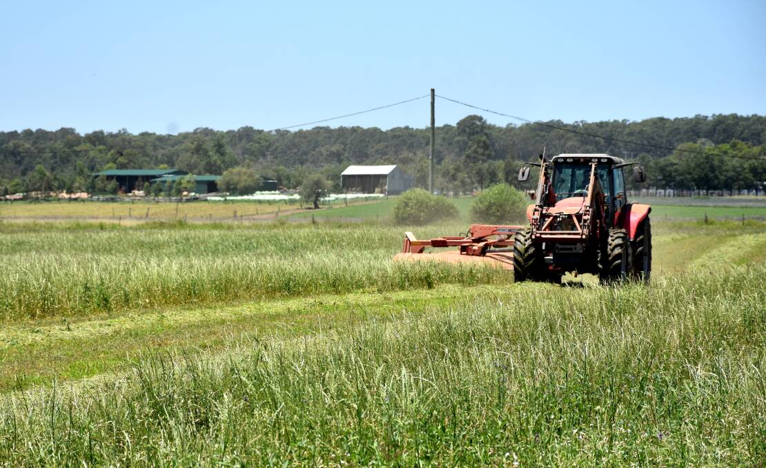 Producers are busy making the most of a good start to the haymaking season and many of the district's haysheds are starting to fill after being cleared out during the drought..