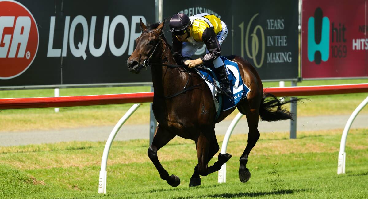 SPEED MACHINE: The David Atkins-trained Jonker powers away from his rivals close to home in the Max Lees Classic on Sunday at Newcastle Racecourse. Pictures: Jonathan Carroll