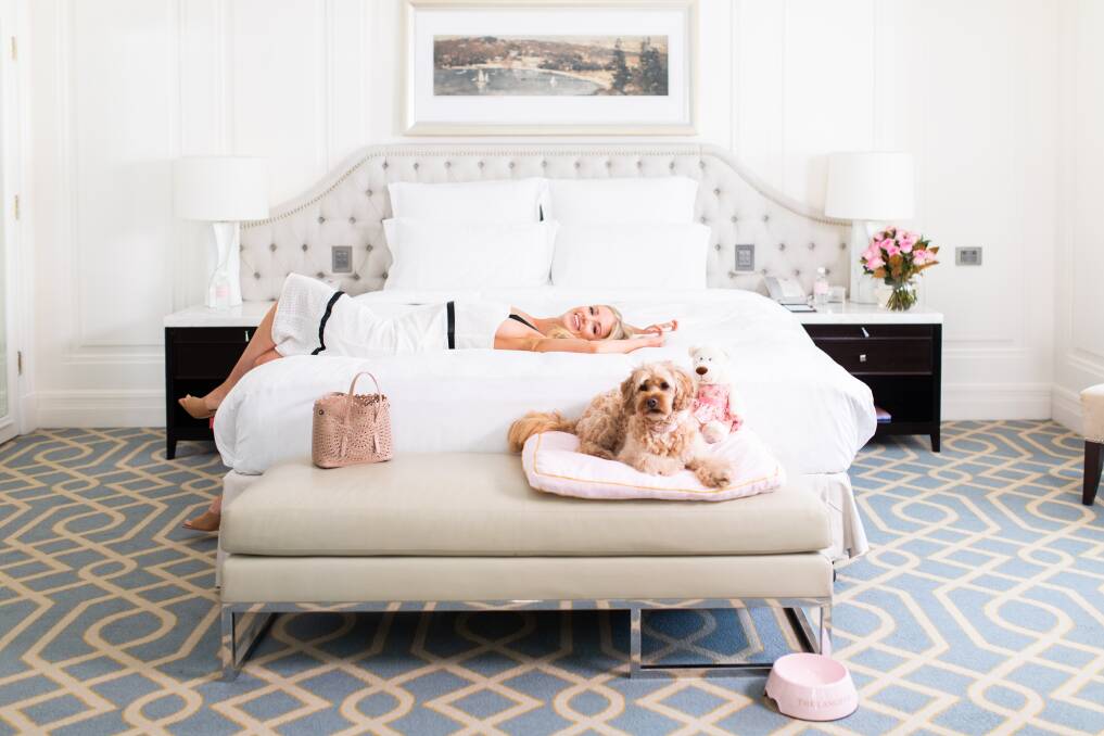 LUXE LIFE: The Langham Sydney has a special package for puppers (and their parents). Picture: Supplied