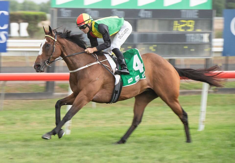 Singleton jockey Aaron Bullock leads Let's Rebelle to victory in the tab.com.au Sandy Hollow Cup at Muswellbrook on Sunday. Pic: KATRINA PARTRIDGE PHOTOGRAPHY