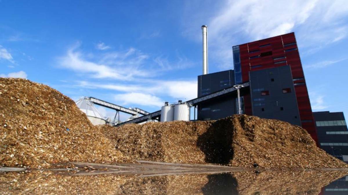 Red light: Verdant Earth Technologies is seeking to burn about a million tonnes of native forest biomass for electricity and hydrogen production annually.