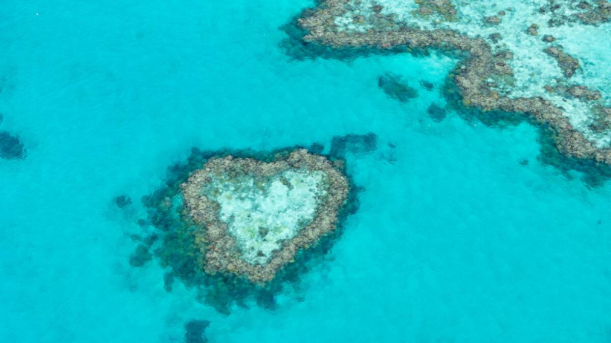 The famous Heart Island on the Great Barrier Reef at the Whitsundays. Pictures: Michael Turtle