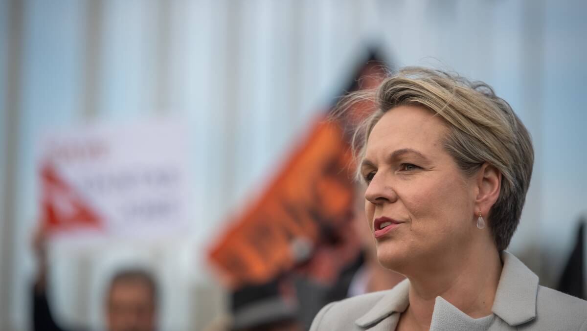 Labor's education spokeswoman Tanya Plibersek was the most high-profile MP to declare support for the rights of the ACT and NT to make their own voluntary assisted dying laws. Picture: Karleen Minney