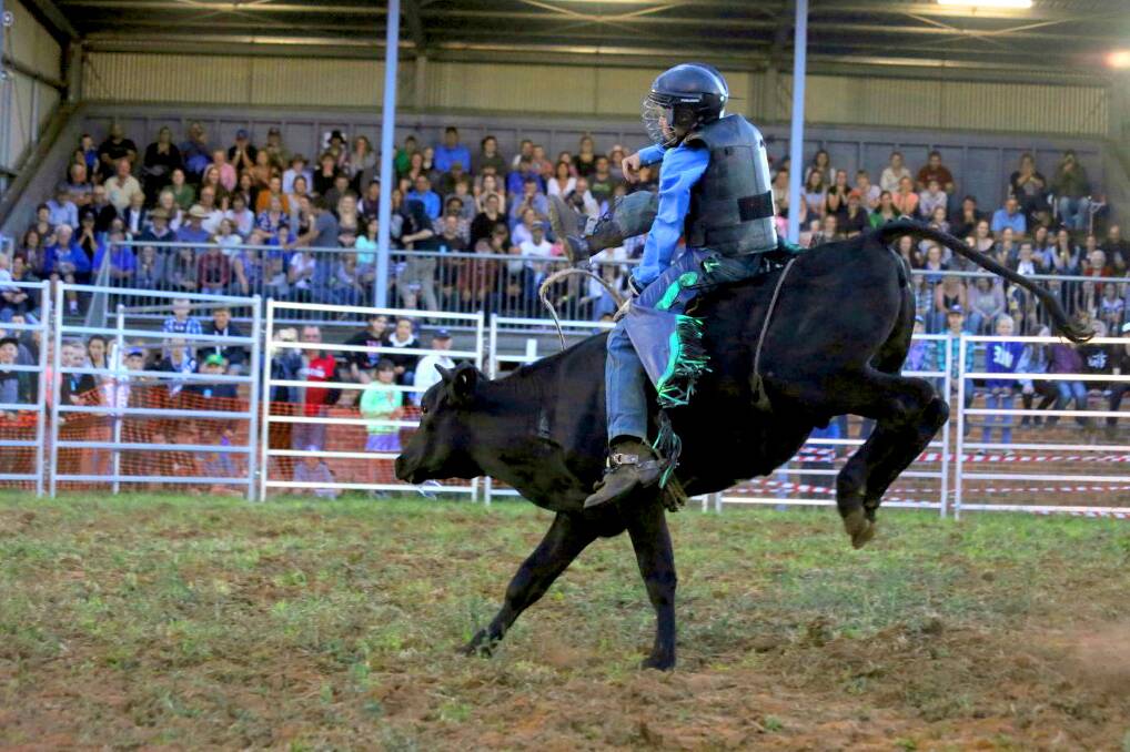 CHALLENGE: Dorrigo Show junior rodeo using mini-bulls. All photographs taken by Vivian Hoskins.