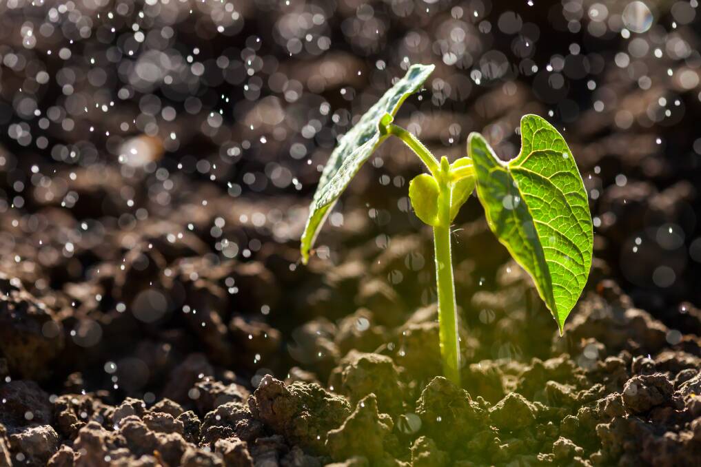 Helping your garden grow its resilience to the environment around it, more naturally. Picture: Shutterstock.