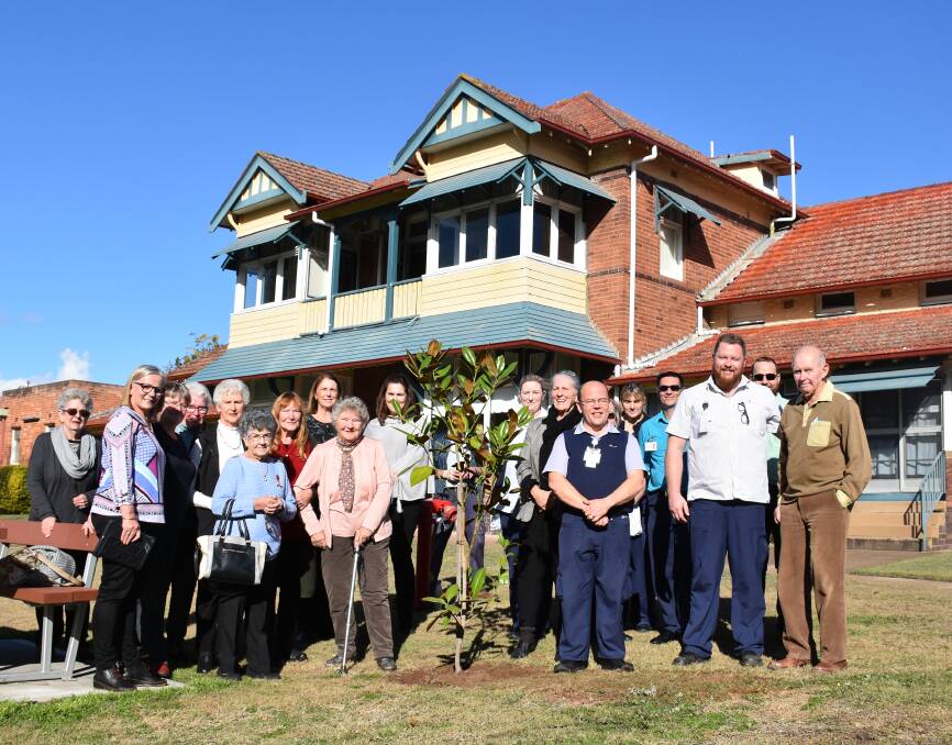 TRIBUTE: Singleton Hospital Auxiliary members and Hospital staff members planted a tree in loving memory of Vera Smith on Thursday. 