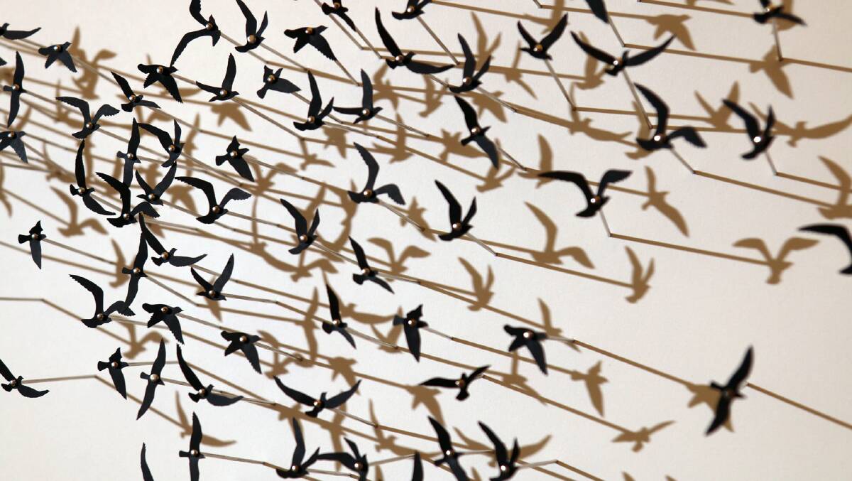 UP CLOSE: Jeremy Dunn created a body of work titled 'Murmurations'. 