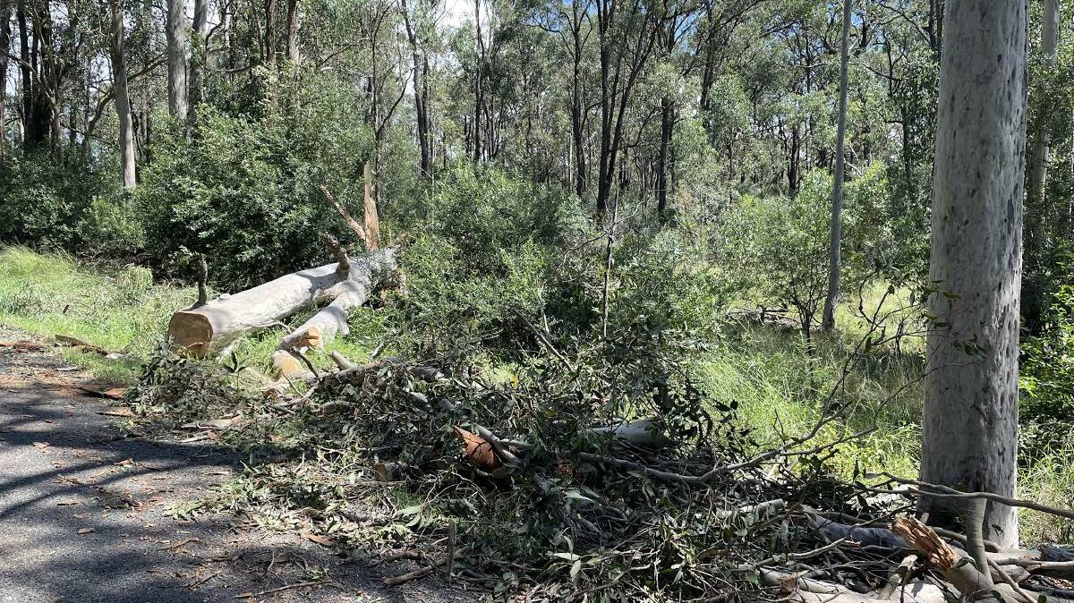 MONDAY STORM: A total of 132 SES calls were made on Monday afternoon and evening in Singleton, Cessnock and Maitland areas after a large thunderstorm hit the area. 