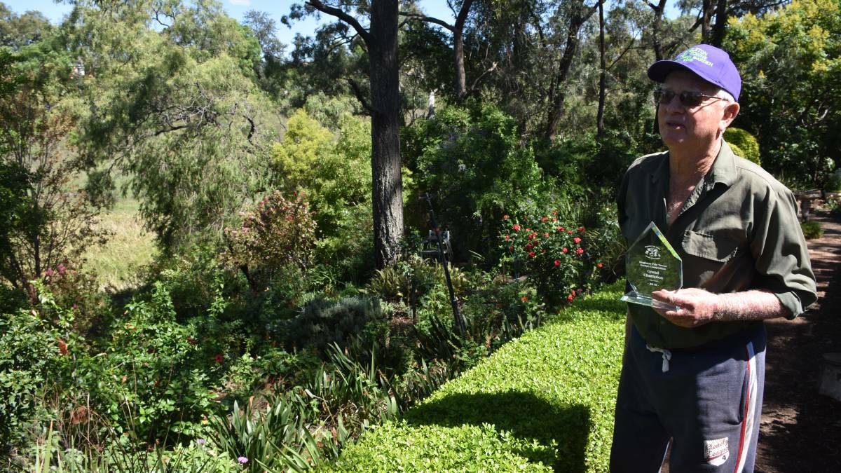 Singleton Tidy Towns Garden Competition winner for 2018 Austin Latter.
