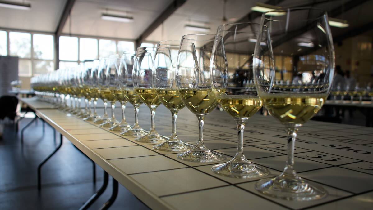 Lines of varying chardonnays aligned for tasting at the 2018 Hunter Valley Wine Show.  