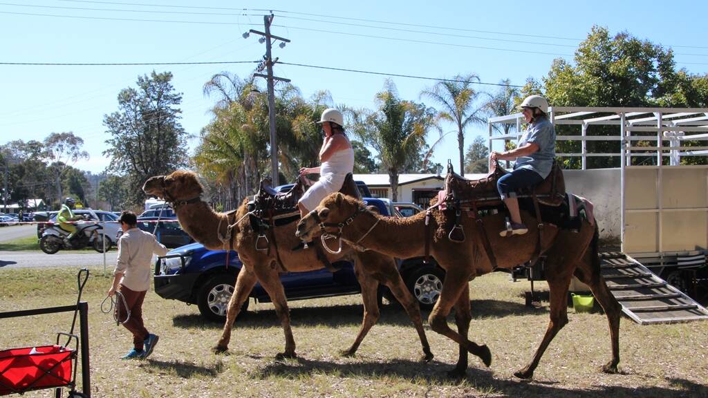 CAMEL HUMPS: Camel rides were on offer throughout the day doing both single and duo trips around the village fair. 