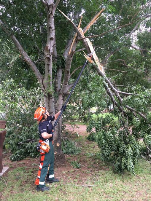 SES: Singleton State Emergency Service member Jessica Whyte chopping down a tree. 