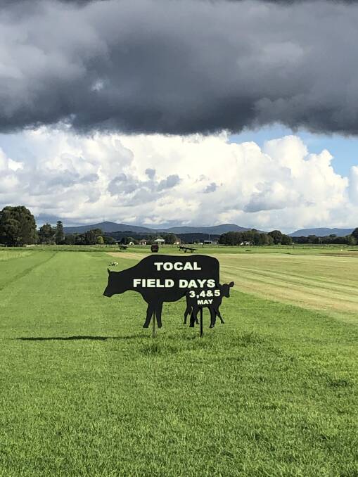 Spot them: The black life-size timber cows are popping up all over the Hunter region to signal the up coming Tocal Field Days for 2019.