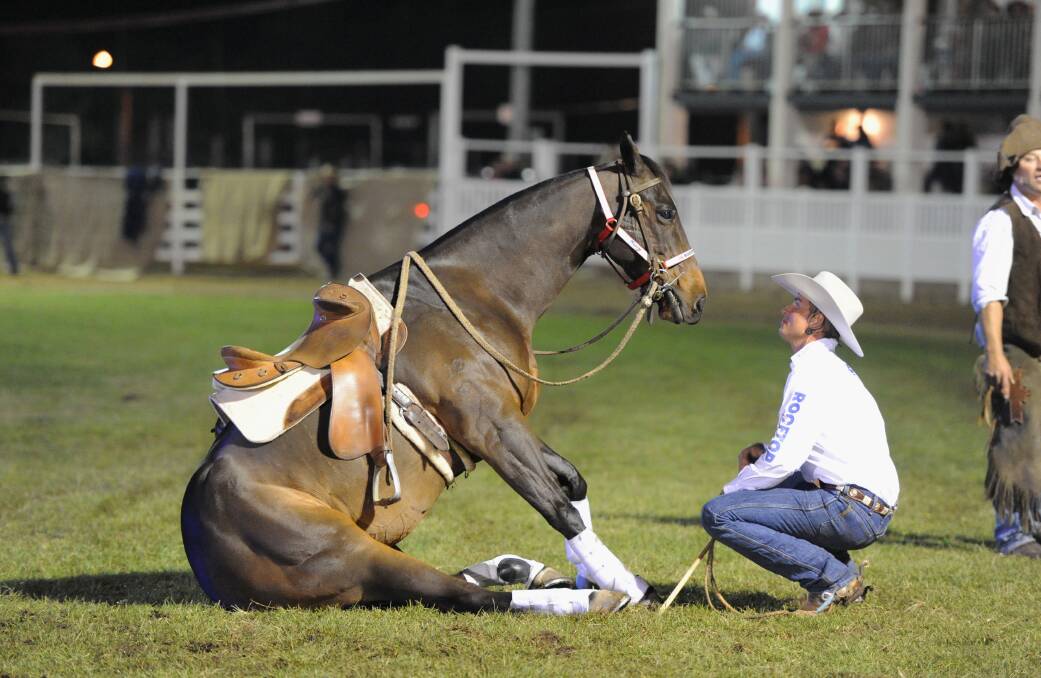 One man and his horse: There will be some impressive stunts and plenty of laughs at this year's show.