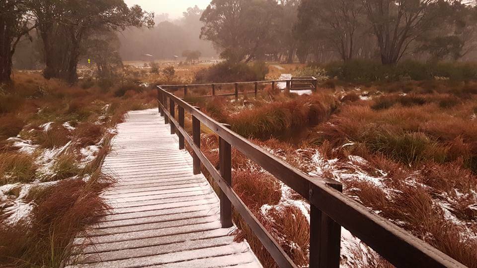 Did you take a photo of the snow? Send your pictures to betina.hughes@fairfaxmedia.com.au to have them included in our gallery.