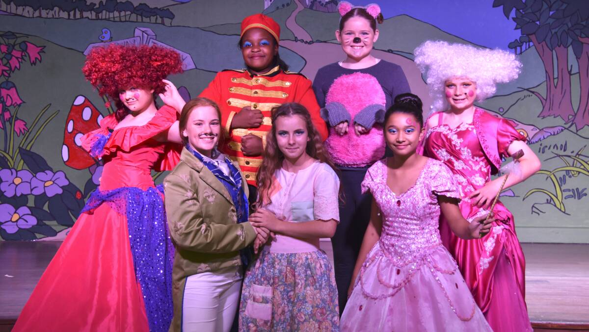 TALENTED: Lucie as Cinderella in Singleton Public School's 2017 pantomime.
