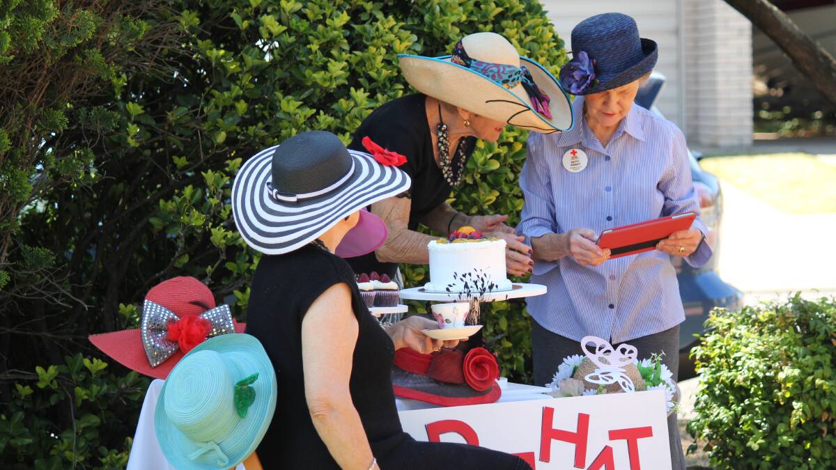 Singleton Red Cross hosting quirky Mad Hat morning tea party: Big Cake Bake