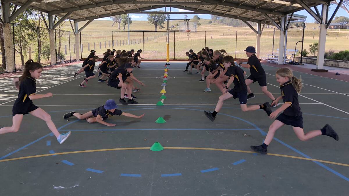 Getting active during the former NSW Swifts team captain's visit. PIC SUPPLIED.
