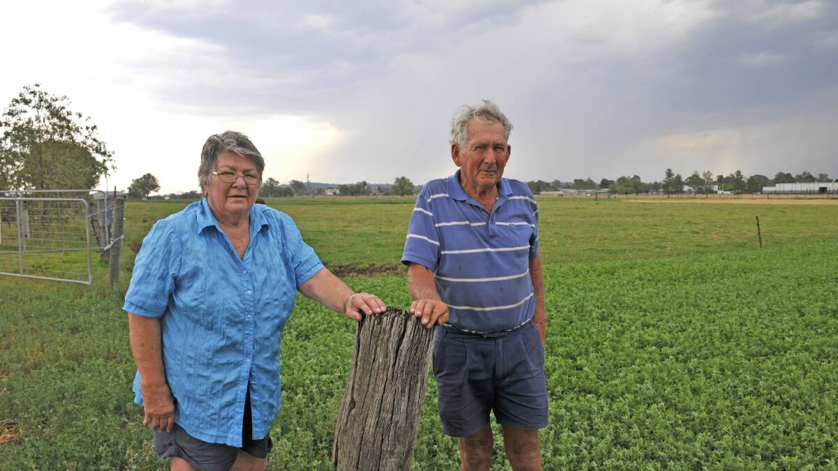 WRONG WAY: Clare and Maurice Butler are dismayed at the RMS's preferred option for the Singleton bypass. They say it could result in more not less traffic accidents.