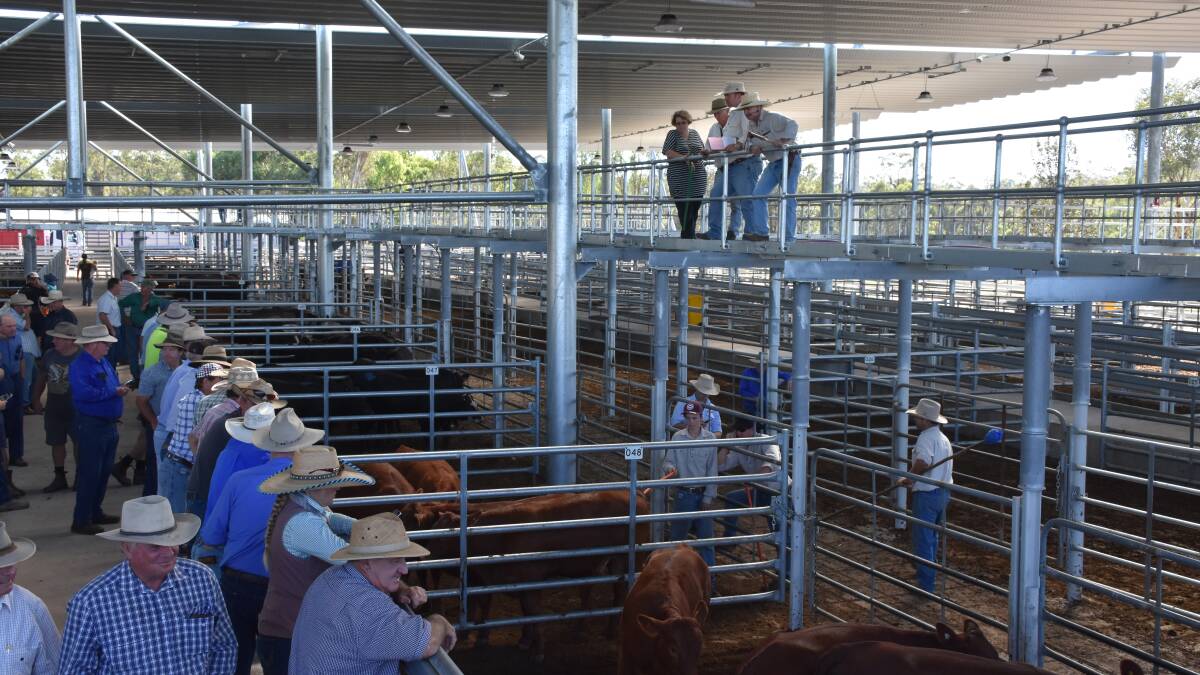 Saleyards and service station to be considered in closed council