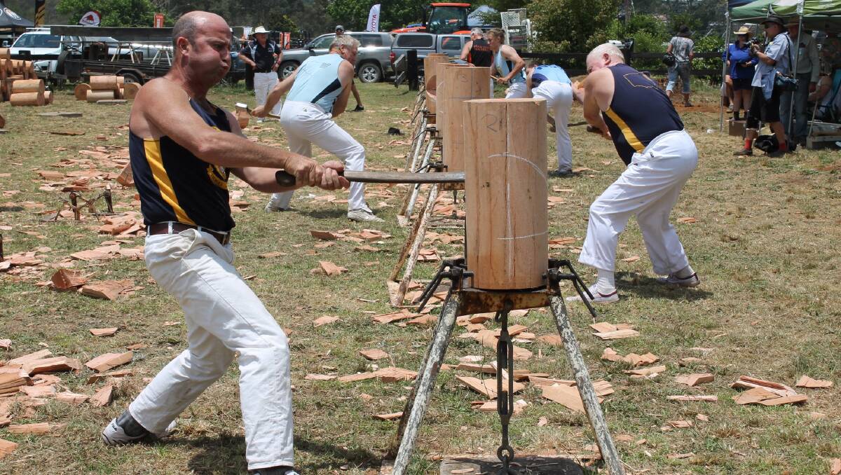 TRADITION CONTINUES: The Dorrigo Show’s Woodchop Competition is a must-see from 10am on Saturday morning.