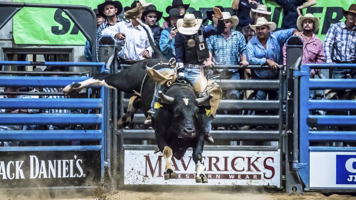 BUSY SCHEDULE: At the ABCRA’s National Finals in January where he achieved a personal milestone - aggregate winner in the bull ride. A Roberts Media.