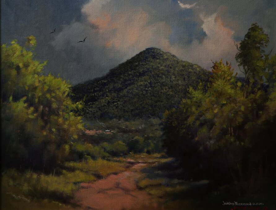 Bill Freeman's painting, "Sugarloaf Mountain". Picture: Simone De Peak