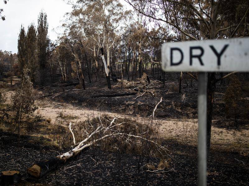 Forecasters say dry and hot conditions will increase the chances of bushfires and drought in summer. (Sean Davey/AAP PHOTOS)