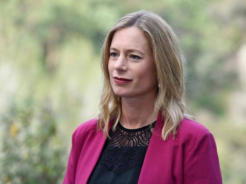 Tasmanian Labor leader Rebecca White has outlined a $197 million election-promise rural health plan.
