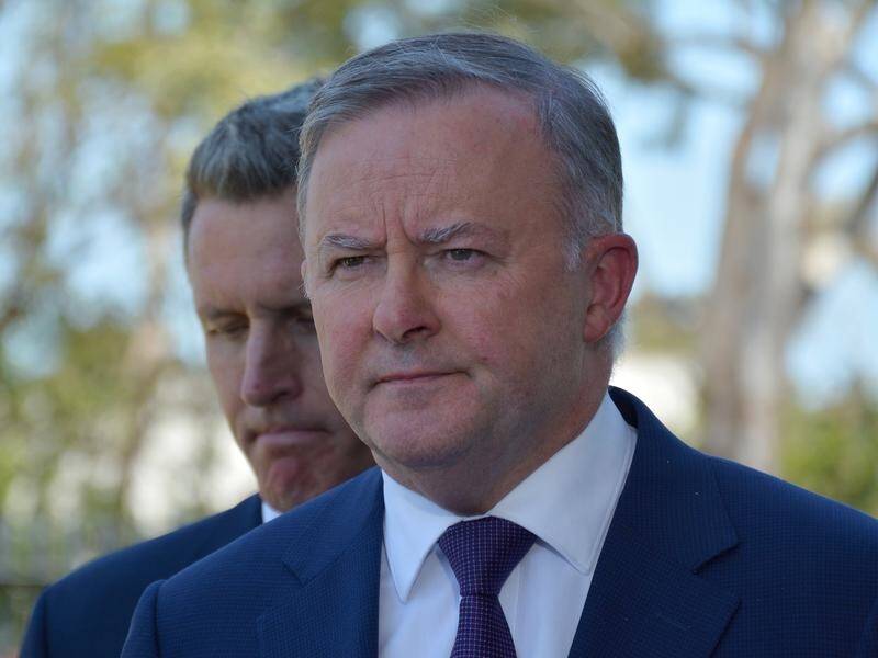 Anthony Albanese will be a no-show at this weekend's Victorian ALP conference in Melbourne.