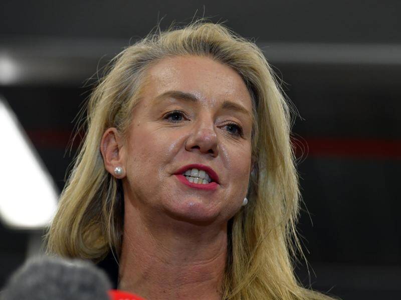 Bridget McKenzie warns independent candidates may not be up for the "tough game" of politics.