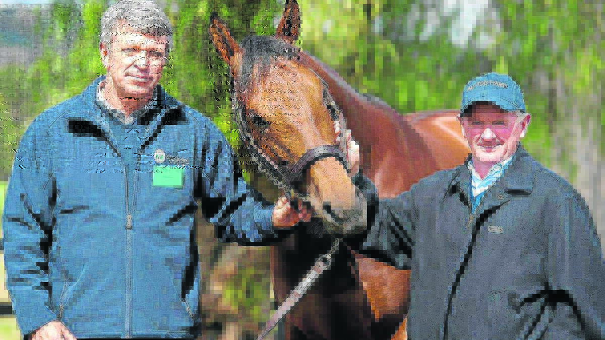 CURRENT SYSTEM NOT WORKING: Leading trainer John Hawkes and Vinery general manager Peter Orton.