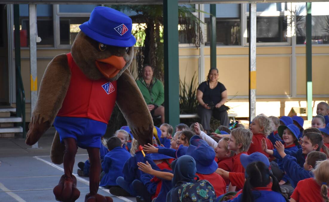 NEW FACE: King Street Public School students welcome their new identity 'Tawny' the tawny frogmouth.