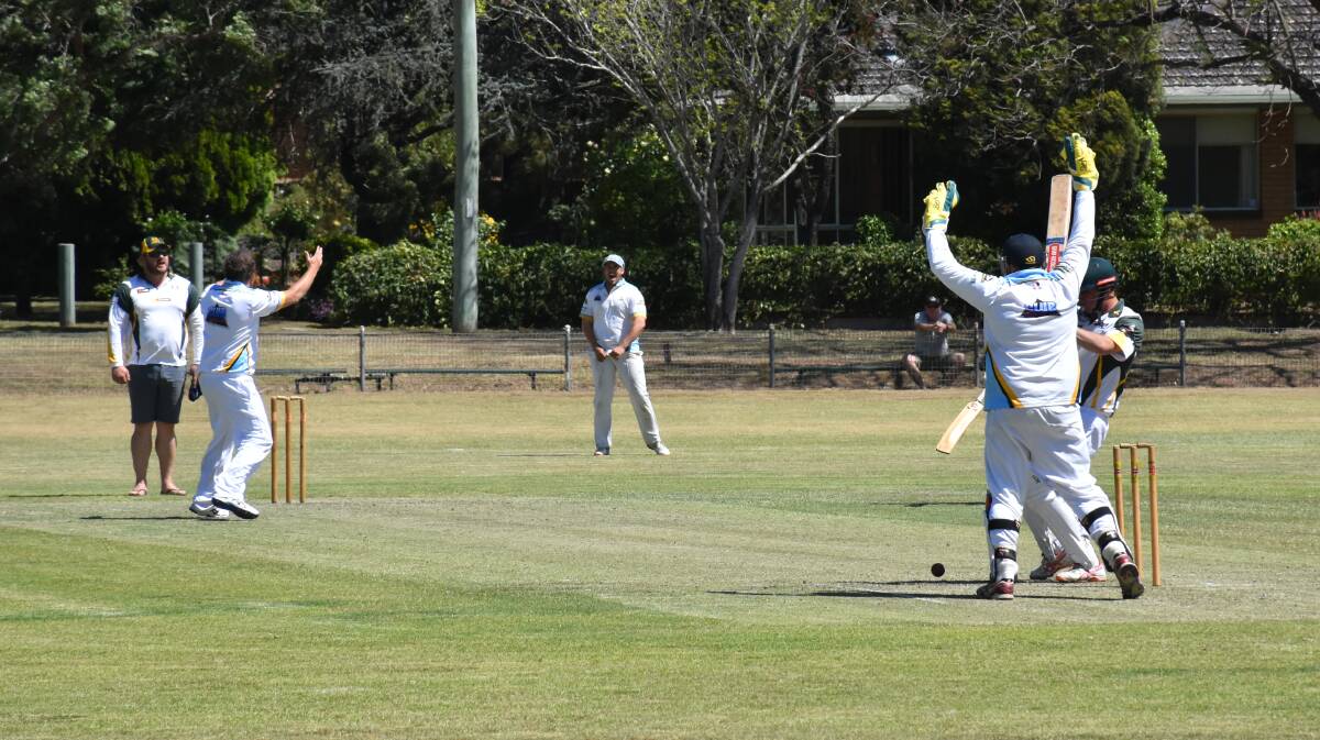 HOWE PARK: Owen Daley pictured on debut against Glendon at Singleton's traditional home of cricket.