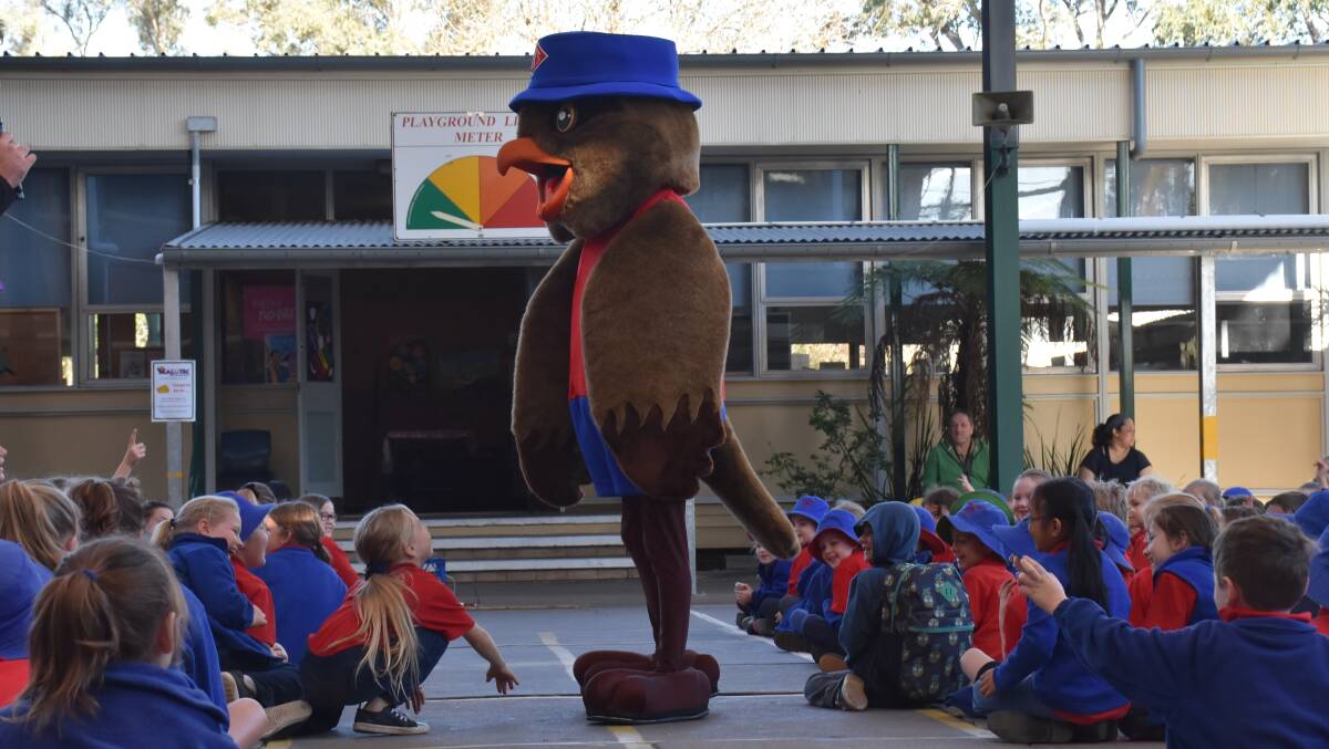 Primary students from Singleton's King Street Public School gathered in suspense this morning when their principal Mr Jonathan Russell announced the addition of a new student.