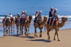 73 per cent of respondents to ACM's national Heartbeat of Australia survey said they intended to travel within Australia. Picture: Shutterstock