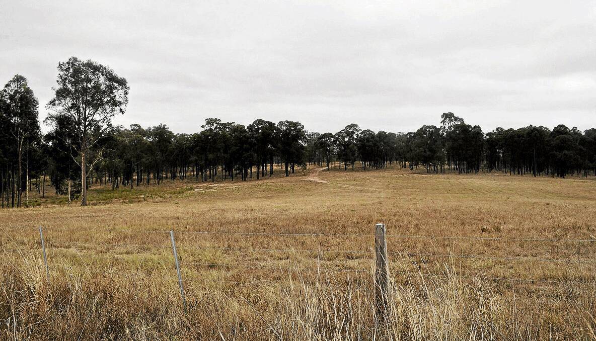 DEVELOPMENT: This is some of the land off Big Ridge Lane that has been earmarked for a rural residential subdivision to be known as South Sedgefield. It was among five country blocks before Singleton Council this week involving 276 potential rural residential lots. 
